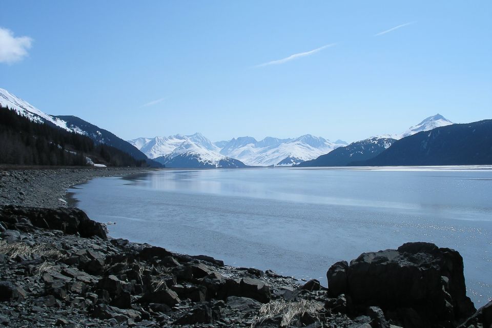 From Anchorage: Portage Glacier and Wildlife Full-Day Tour - Experience Highlights