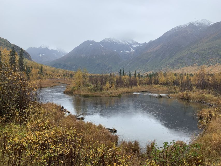 From Anchorage: Valley and Forest Hike With Naturalist Guide - Experience Highlights