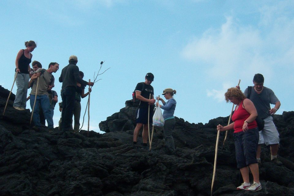 From Antigua: Pacaya Volcano Trek - Highlights