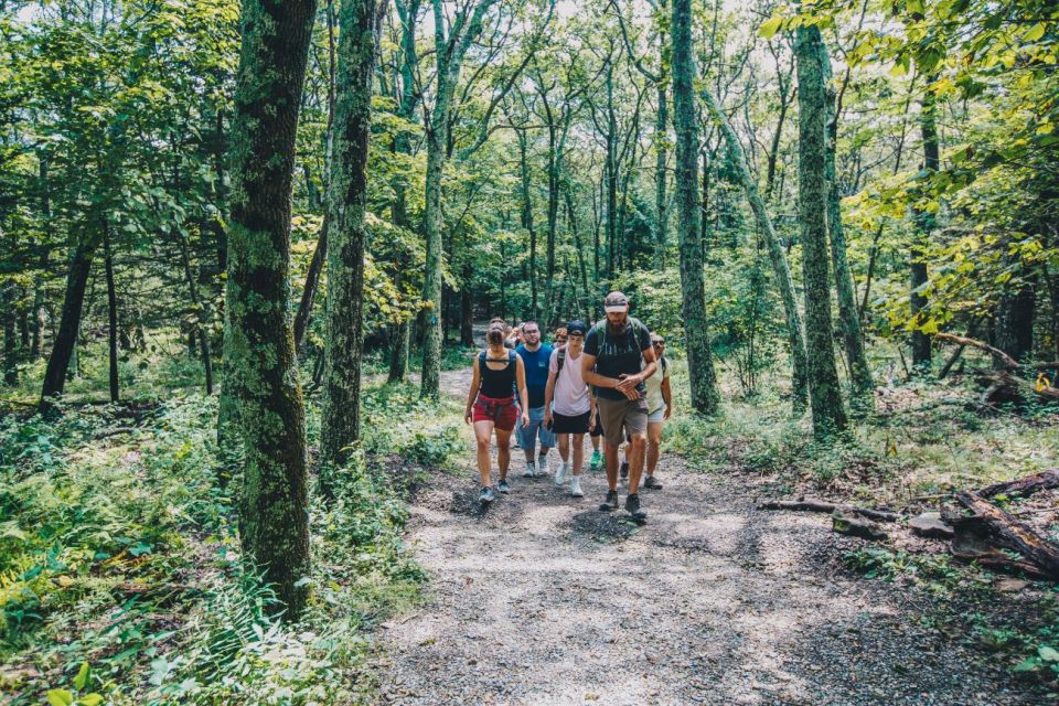 From Asheville: 3-Day Track and Backpack Appalachian Trail - Live Tour Guide and Cancellation Policy