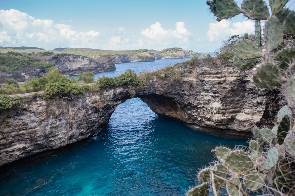 From Bali: Nusa Penida Small Group Tour by Speed Boat - Tour Highlights