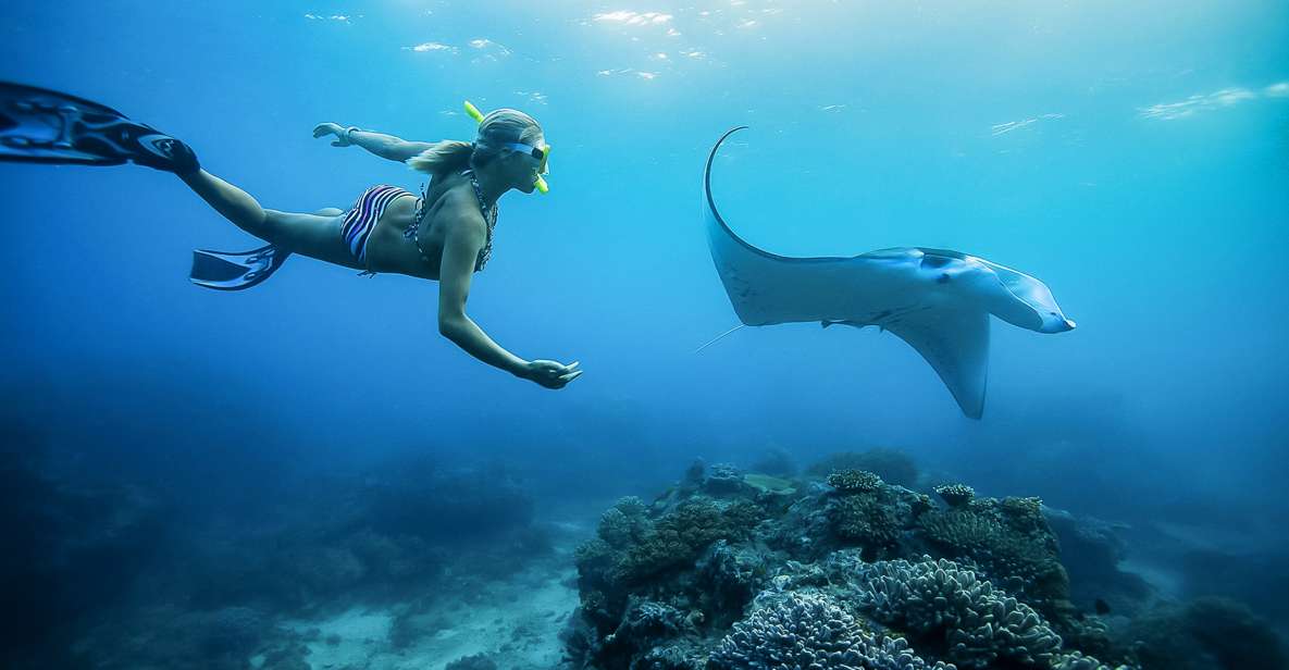 From Bali: Swim With Manta Rays in Nusa Penida - Booking Details