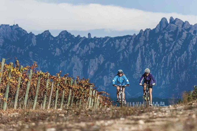 From Barcelona: E-Bike Tour in the Vineyards With 2 Wineries - Customer Reviews