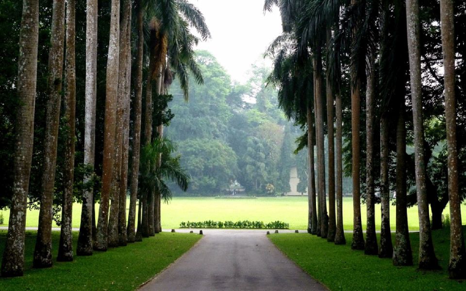 From Bentota: Kandy Tour With Tooth Temple & Gardens Visit - Booking Details for the Experience