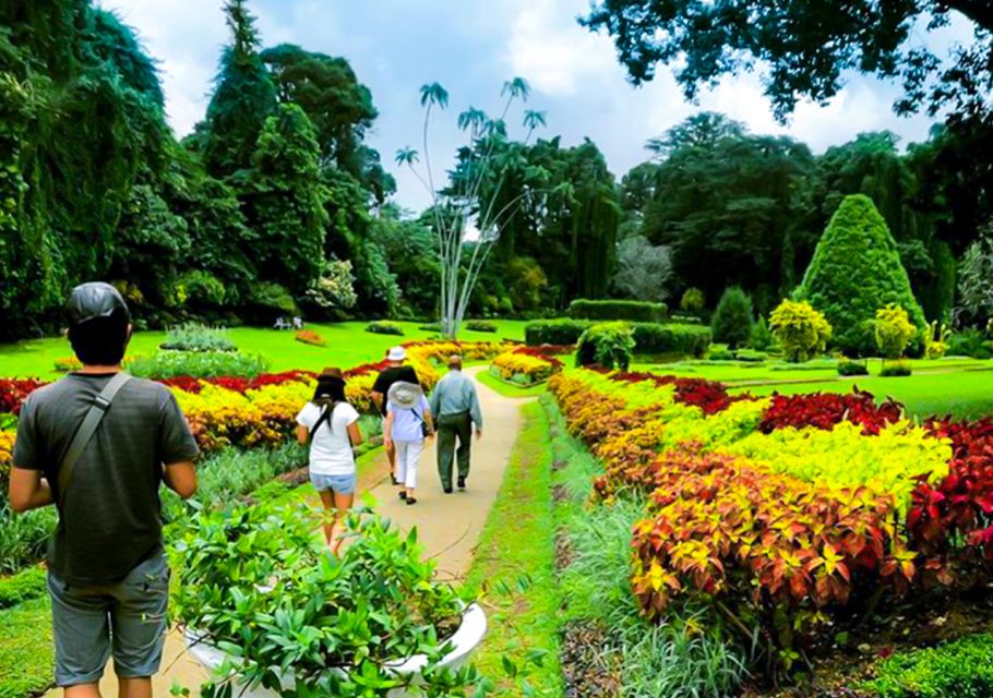 From Bentota or Beruwela: Private Day Tour to Kandy - Experience Highlights in Kandy