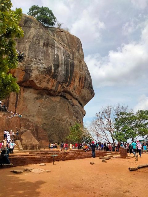 From Bentota: Sigiriya Lion Rock & Dambulla Cave Temple Tour - Tour Description