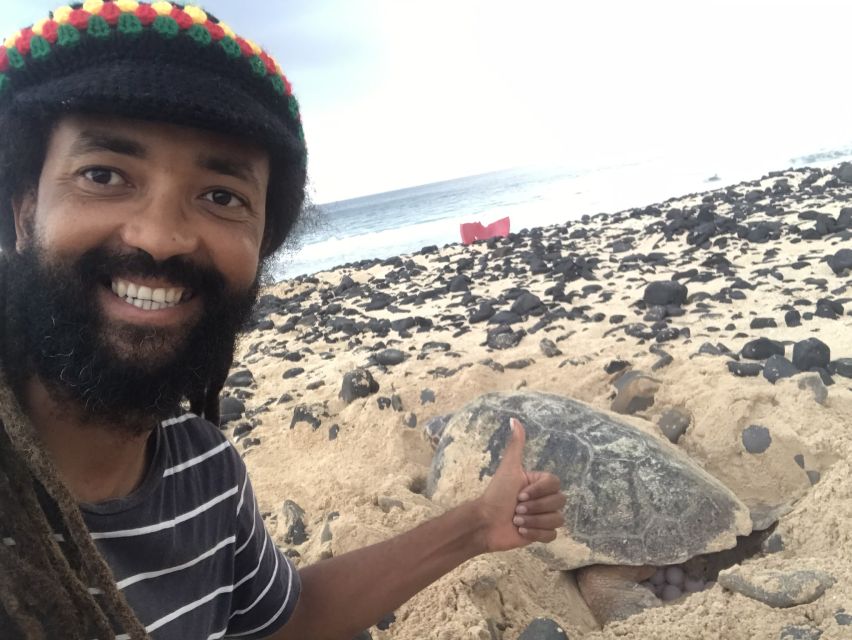 From Boa Vista: Turtle Watching and Nesting Evening Tour - Common questions