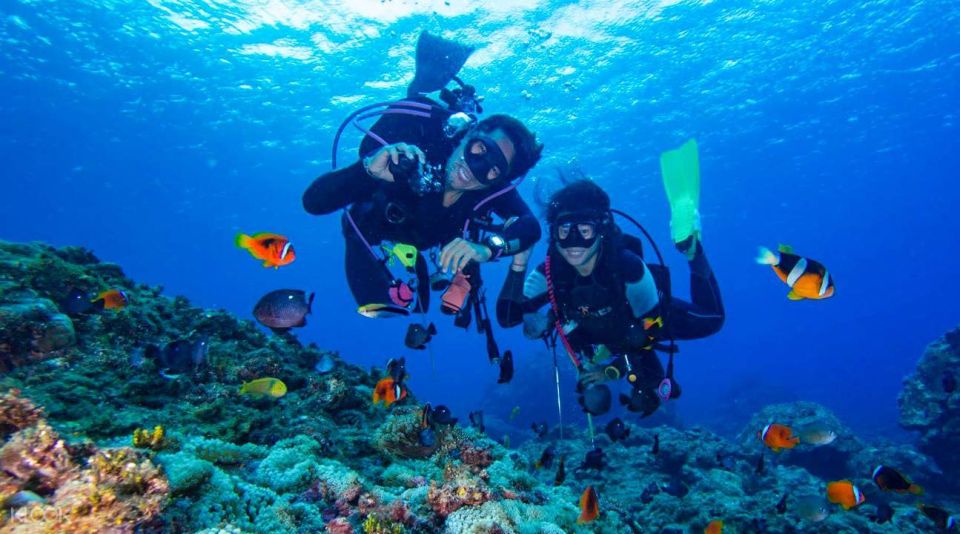 From Bodrum: Scuba Diving in the Aegean Sea - Dive Sites in the Aegean Sea