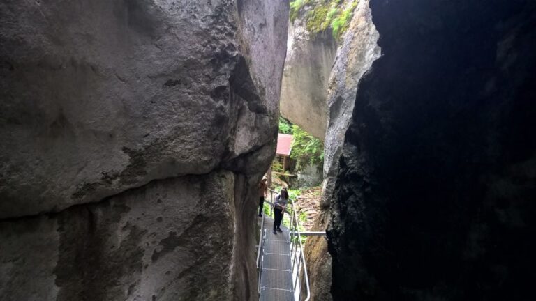 From Brasov: Day Trip to the Seven Ladders Canyon