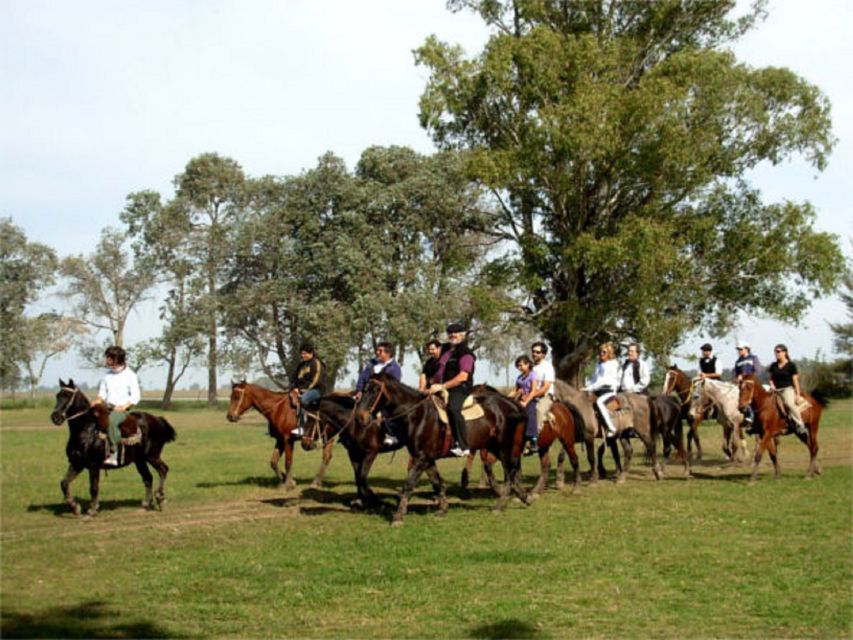 From Buenos Aires: Estancia Don Silvano Tour With Lunch. - Pickup Locations and Transportation Details