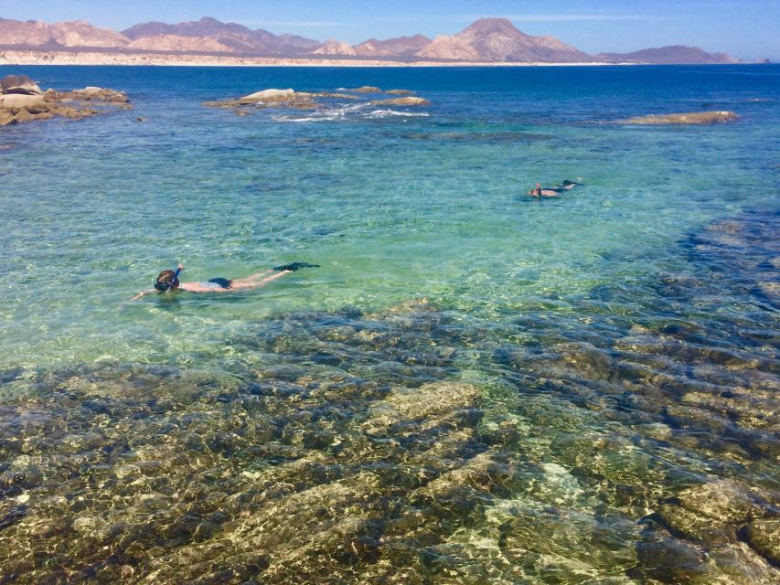 From Cabo: Cabo Pulmo Marine Park Snorkeling and Kayaking - Experience Highlights