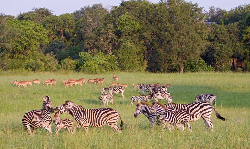 From Cape Town: 3 Days Kruger Safari & Panorama Route Tour - Inclusions