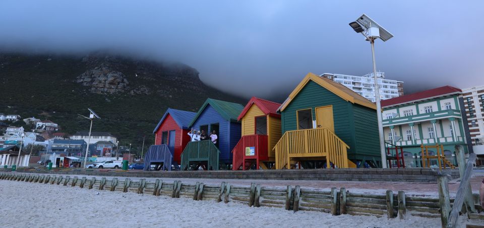 From Cape Town: Cape Point & Boulders Beach Full-Day Tour - Highlights