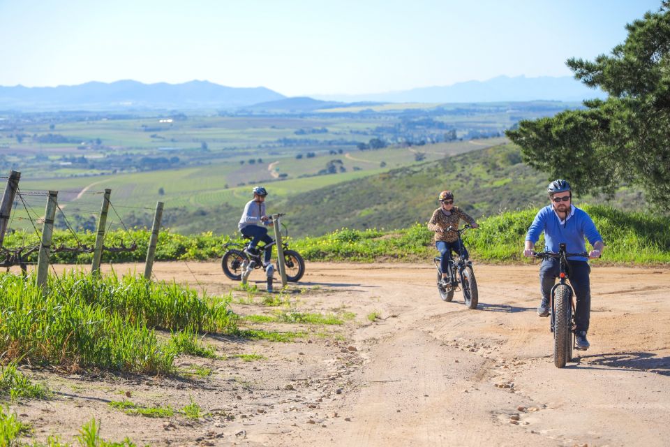 From Cape Town: E-Bike Winelands Tour - E-Bike Experience