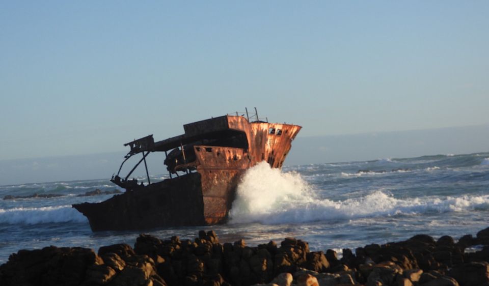 From Cape Town: Full-Day Cape Agulhas Private Tour - Experience Highlights