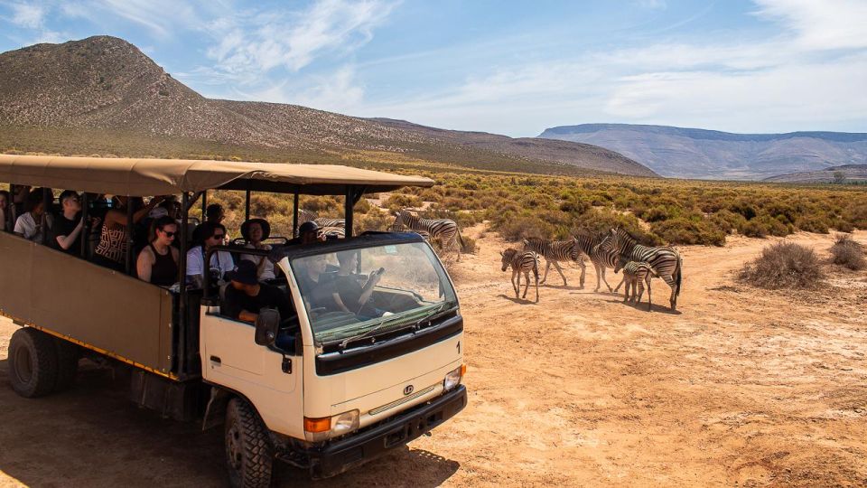 From Cape Town: Group Transfer Only to Aquilla Game Reserve - Duration and Logistics