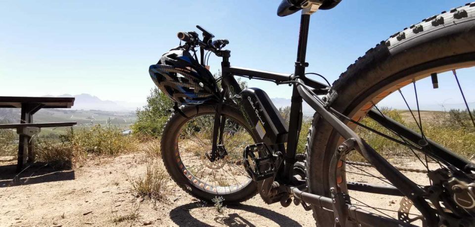 From Cape Town: Half-Day Winelands E-Bike Tour - Experience Highlights