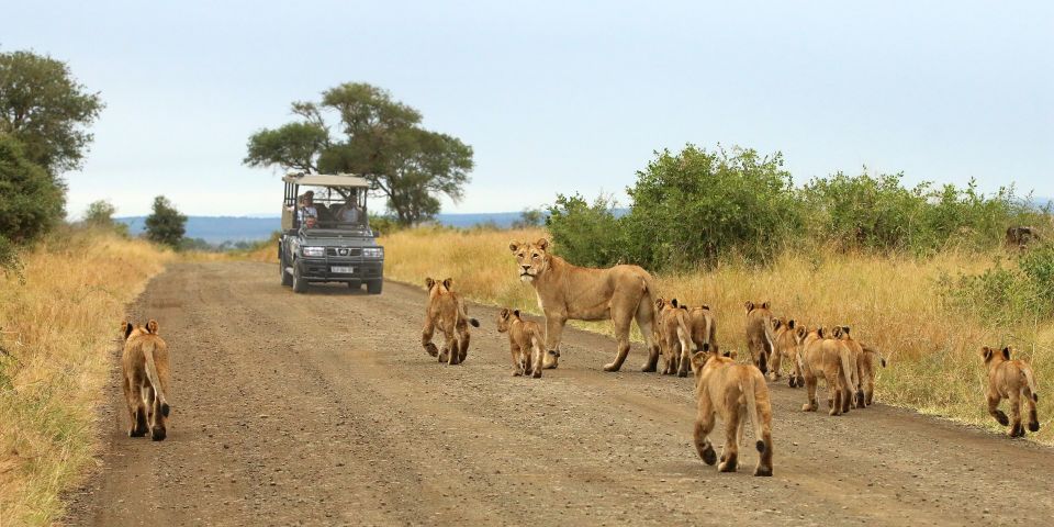 From Cape Town: Kruger National Park 2-Day Safari Trip - Itinerary