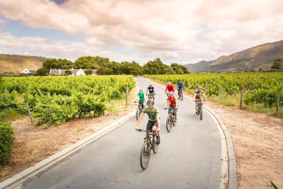 From Cape Town: Winelands Cycling Tour - Experience Highlights