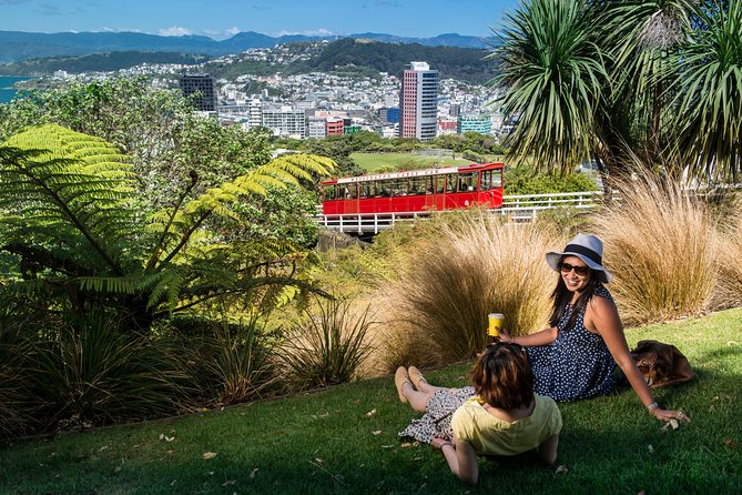 From Cave to Coast Wellington Highlights Tour - Pickup Information