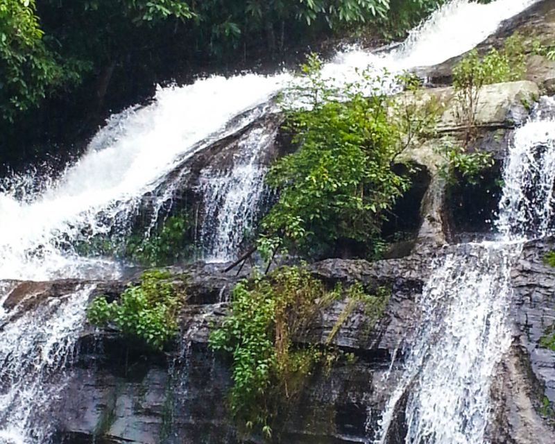 From Chiang Mai: Doi Inthanon National Park Day Trip & Hike - Experience