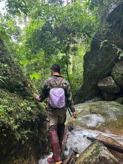 From Chiang Mai: Doi Saket Hiking Tour With Lunch - Experience Highlights