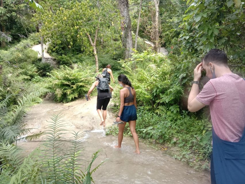 From Chiang Mai: Sticky Waterfall Hike & Mountain Bike Ride - Pickup Information