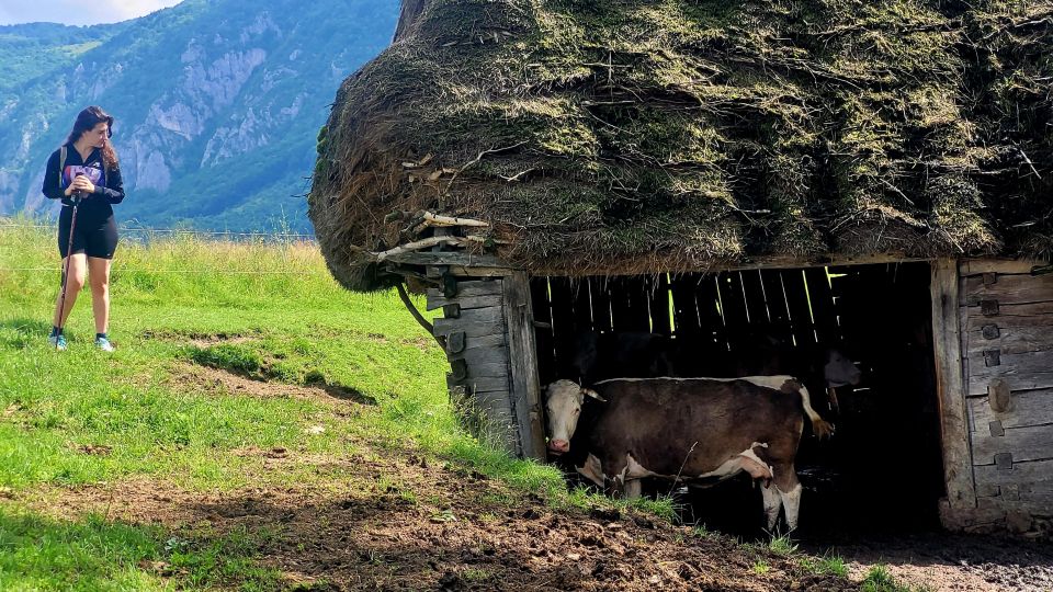 From Cluj-Napoca: Apuseni Mountains Hiking Guided Day Tour - Experience Highlights