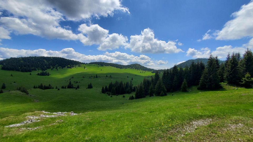 From Cluj-Napoca: Carpathian Mountains Guided Scenic Hike - Hiking Routes and Activities