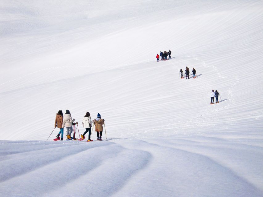 From Cluj: Winter Walking Trip on the Great Mountain - Pickup and Equipment Details