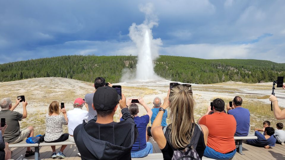 From Cody: Full-Day Yellowstone National Park Tour - Tour Highlights