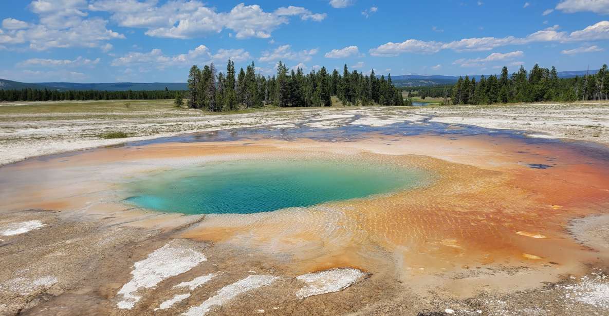 From Cody: Yellowstone National Park Private Day Tour - Experience Highlights