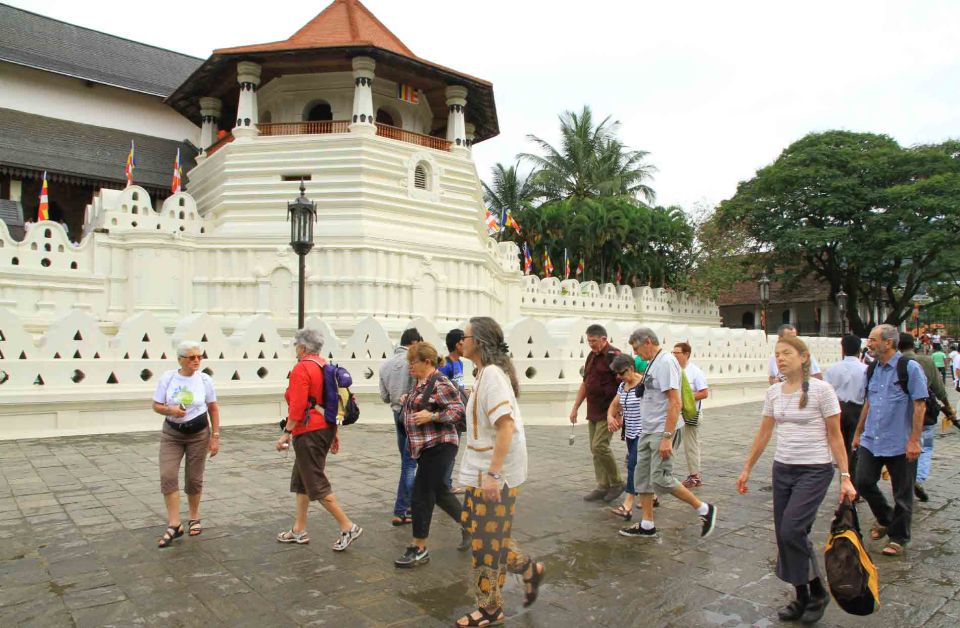 From Colombo: 2-Day All-Inclusive Kandy & Nuwara Eliya Tour - Booking Information