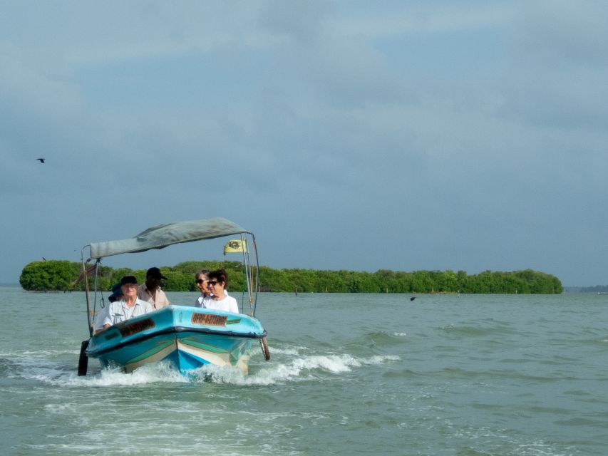 From Colombo: Negombo Lagoon (Mangrove )Boat Excursion - Activity Highlights of the Boat Trip