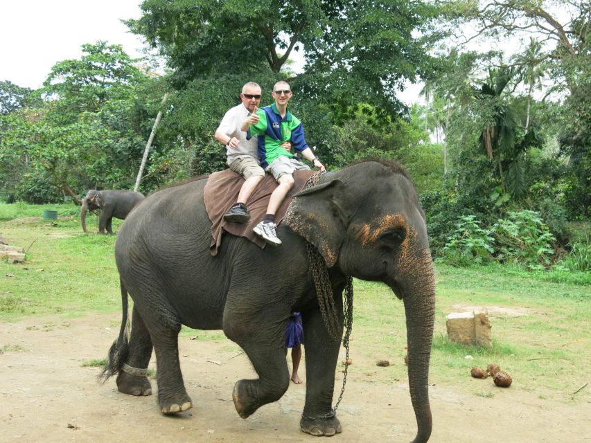 From Colombo: Sigiriya and Dambulla Day Trip With Safari - Key Points