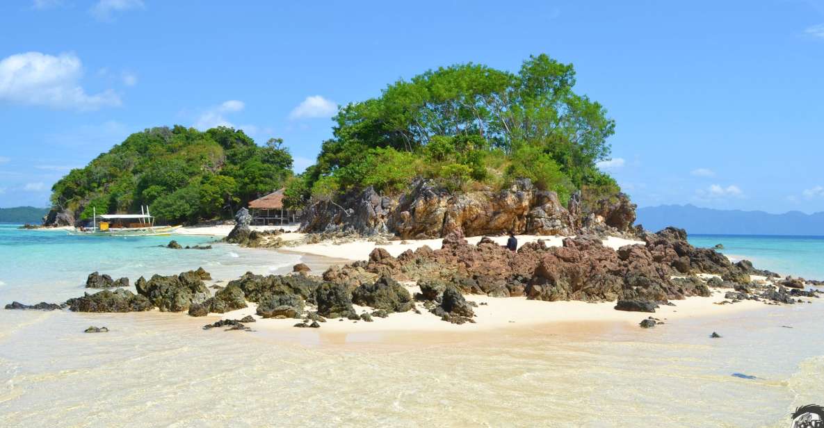 From Coron: Private Island-Hopping Cruise With Lunch - Experience