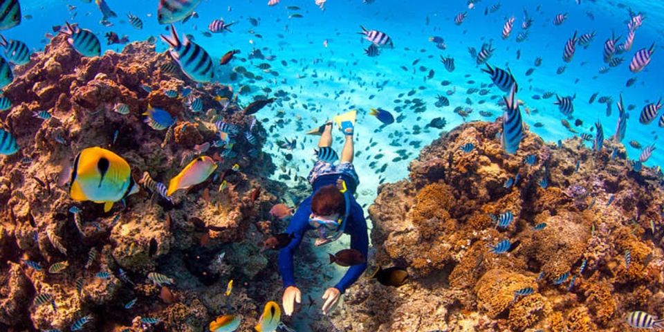 From Dahab: Three Pools Guided Snorkeling Tour With Lunch - Tour Inclusions