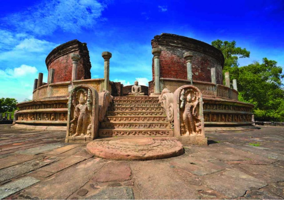 From Dambulla: Private Polonnaruwa and Minneriya Day Tour - Experience Itinerary