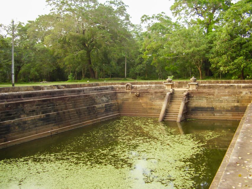 From Dambulla: Sacred City of Anuradhapura Private Day Tour - Experience Highlights