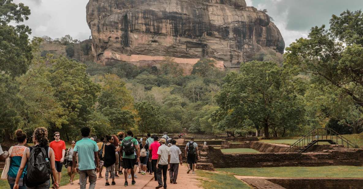 From Dambulla: Sigiriya Rock, Village, and Minneriya Tour - Experience Highlights