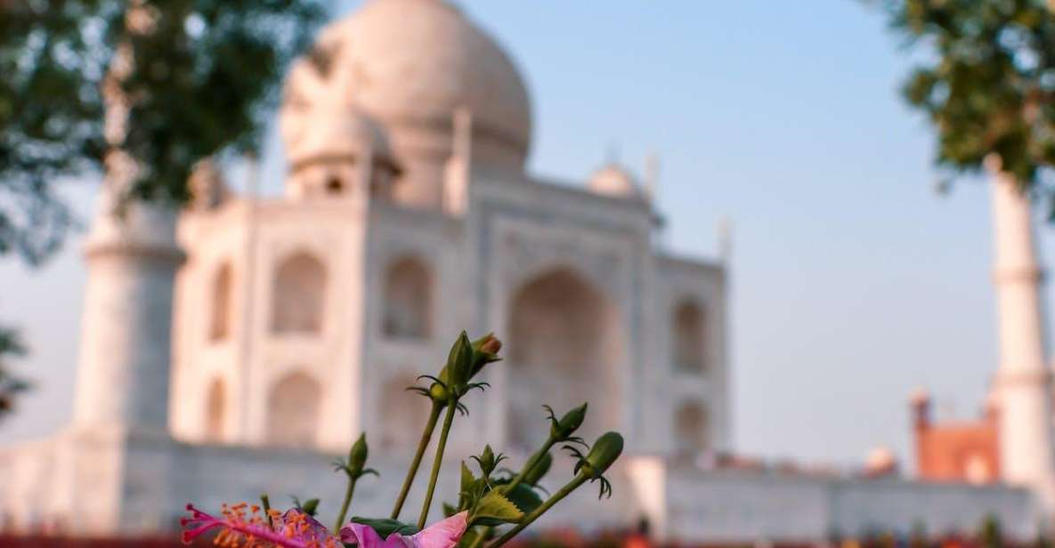 From Delhi: 5-Day Private Golden Triangle Tour Hotels - Tour Details and Inclusions