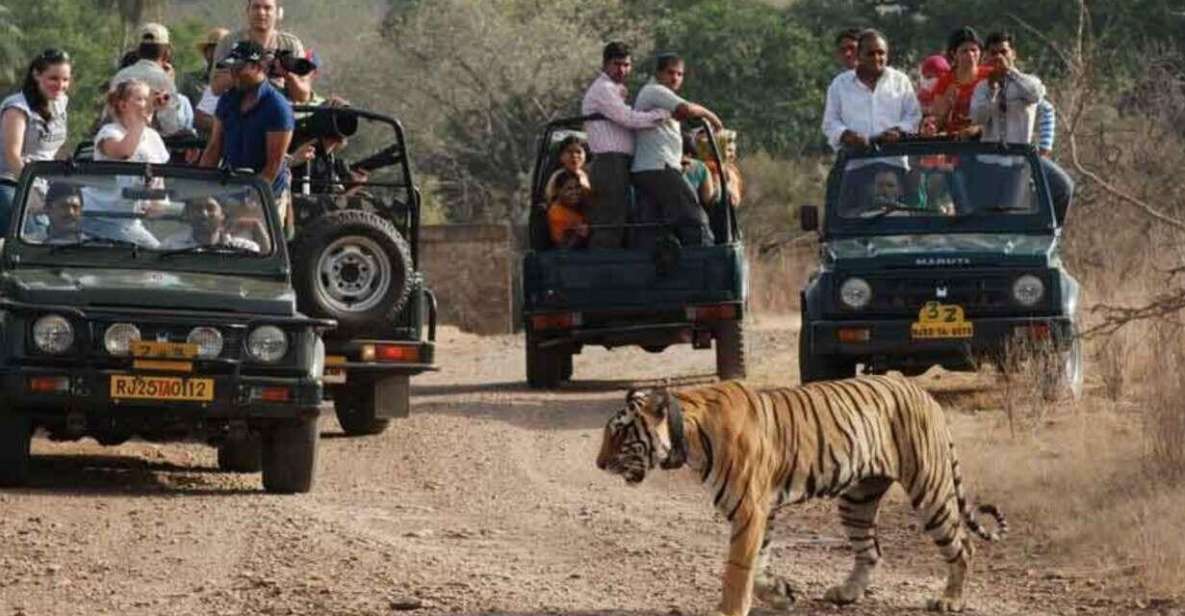 From Delhi: 7-Day Golden Triangle Trip & Ranthambore Safari - Booking Details