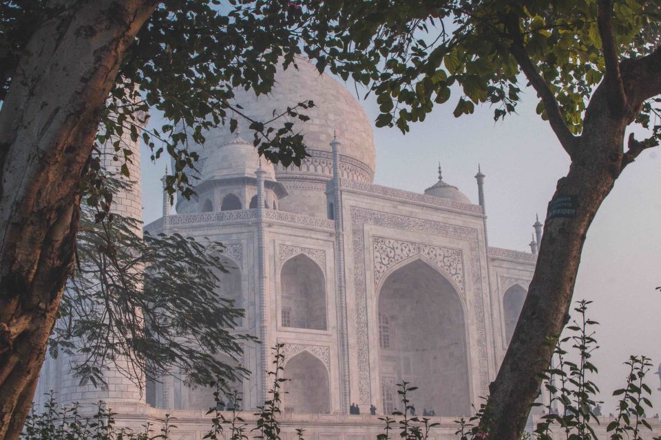 From Delhi: Taj Mahal and Agra Fort Sunrise Tour - Activity Information