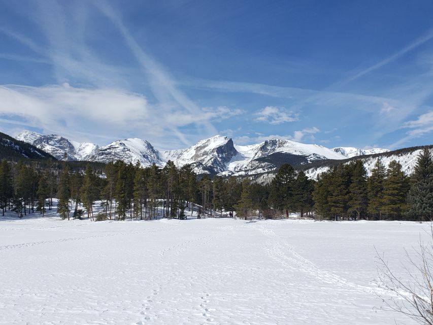 From Denver: Rocky Mountain National Park Fall/Winter Tour - Experience Highlights