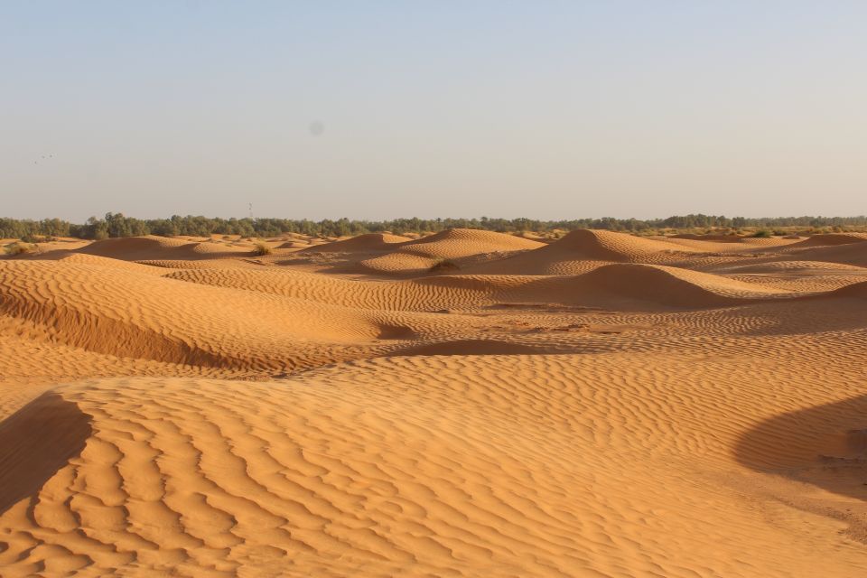 From Djerba: Full-Day Ksar Ghilane Hot Spring and Villages - Experience Highlights of the Tour