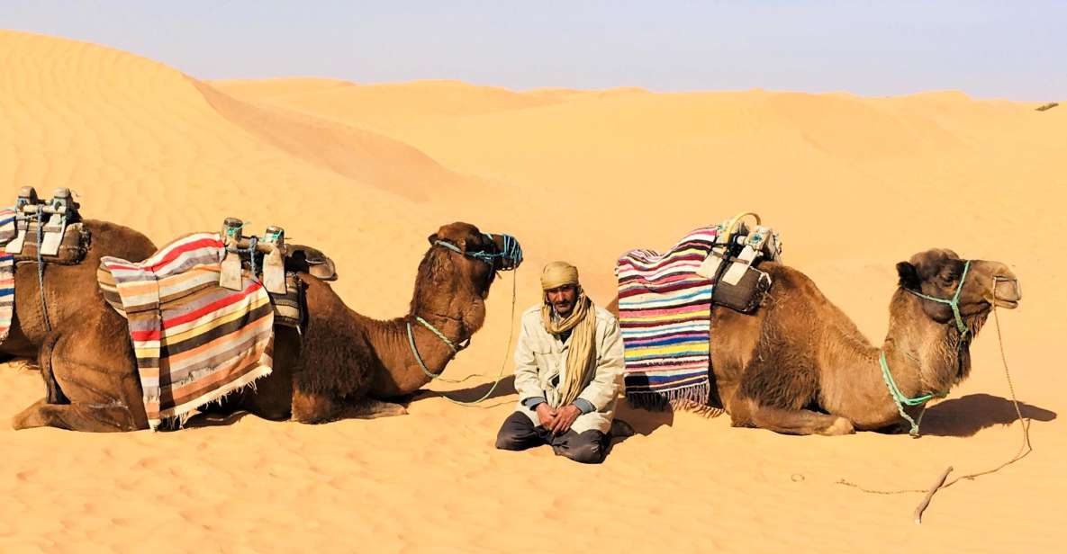 From Djerba: Full-Day Ksar Ghilane Sahara and Oasis Tour - Inclusions and Booking Flexibility