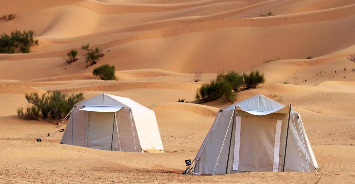 From Douz: Overnight Safari in Tunisian Sahara Desert - Activity Details