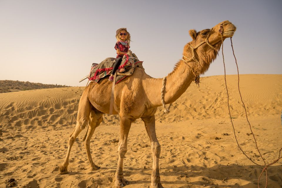 From EL Gouna: ATV Quad Safari, Bedouin Village & Camel Ride - Highlights