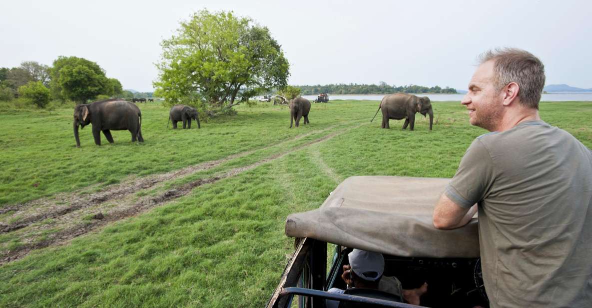 From Ella: Udawalawe Safari With Elephant Transit Home - Safari Experience