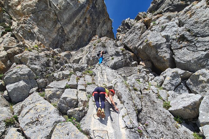 From Estepona: Guided Via Ferrata Adventure in Benalauría - What to Expect on the Tour